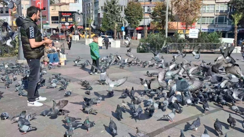 Tekirdağ’da sonbaharın son günlerinde bahar havası: Parklar doldu taştı